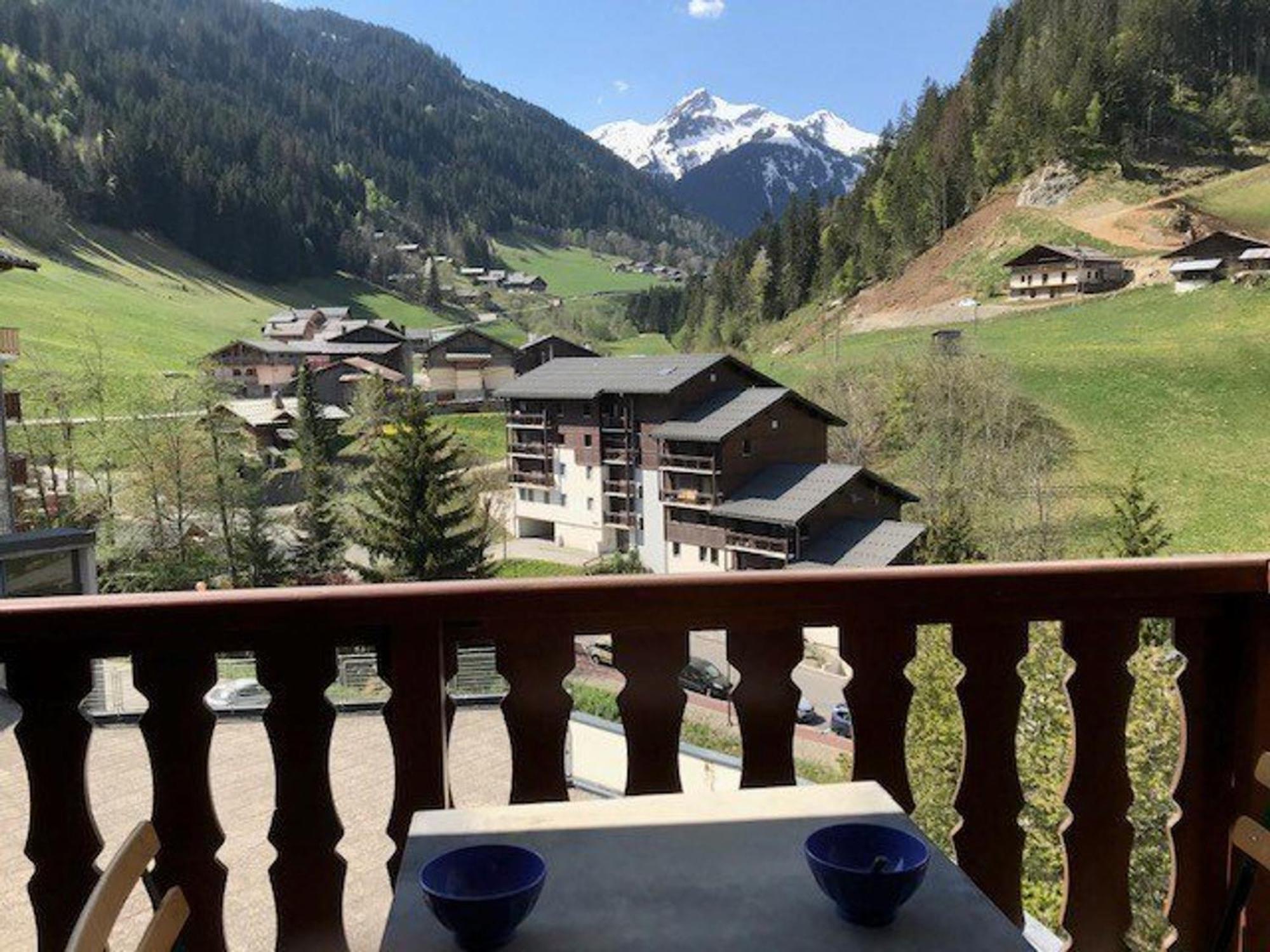 Appartement Cosy Pour 4, Au Coeur Du Village, Proche Des Pistes Et Avec Piscine Estivale - Fr-1-342-173 Ареш Экстерьер фото