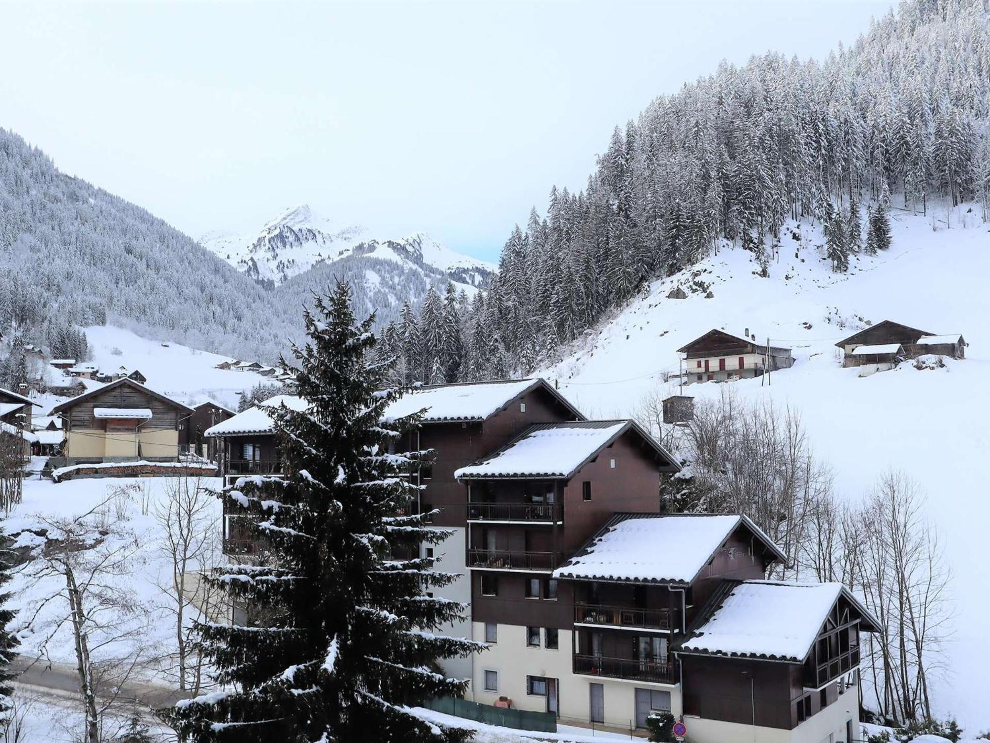 Appartement Cosy Pour 4, Au Coeur Du Village, Proche Des Pistes Et Avec Piscine Estivale - Fr-1-342-173 Ареш Экстерьер фото